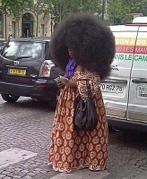 Click image for larger version. 

Name:	Fashion-Fail-Bad-Hair-Funny-Afro.jpg 
Views:	54 
Size:	240.9 KB 
ID:	10463