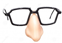 Click image for larger version. 

Name:	funny-disguise-glasses-nose-12706456.jpg 
Views:	110 
Size:	51.8 KB 
ID:	10636