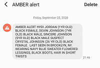 Click image for larger version. 

Name:	kidnapAmberAlert.png 
Views:	136 
Size:	124.9 KB 
ID:	12508