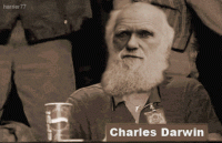 Click image for larger version. 

Name:	darwin approves.gif 
Views:	53 
Size:	851.7 KB 
ID:	13120