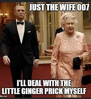 Click image for larger version. 

Name:	Ginger prick 83458525_456129122008787_5618197014241083392_n.jpg 
Views:	37 
Size:	36.6 KB 
ID:	13860