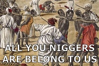 Click image for larger version. 

Name:	All you niggers are belong to us.jpg 
Views:	81 
Size:	77.1 KB 
ID:	14172