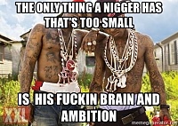 Click image for larger version. 

Name:	brain-and-ambition.jpg 
Views:	117 
Size:	126.4 KB 
ID:	14820