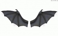Click image for larger version. 

Name:	batwings.jpg 
Views:	68 
Size:	14.6 KB 
ID:	1495