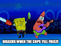 Click image for larger version. 

Name:	WHEN THE COPS YELL FREEZE.gif 
Views:	44 
Size:	351.5 KB 
ID:	14989
