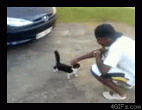Click image for larger version. 

Name:	Cat_1a0ebb_590017.gif 
Views:	43 
Size:	978.0 KB 
ID:	16008