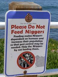 Name:  niggers do not feed sign1index.jpg
Views: 179
Size:  11.5 KB