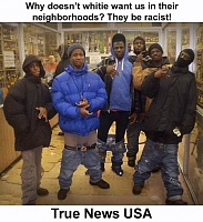 Click image for larger version. 

Name:	neighborhood.jpg 
Views:	41 
Size:	74.9 KB 
ID:	18362