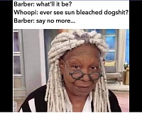 Click image for larger version. 

Name:	Sun Dried Dogshit.jpg 
Views:	137 
Size:	128.1 KB 
ID:	18813