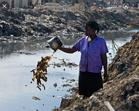 Click image for larger version. 

Name:	haiti garbage2 - Google Search.png 
Views:	984 
Size:	479.3 KB 
ID:	18961
