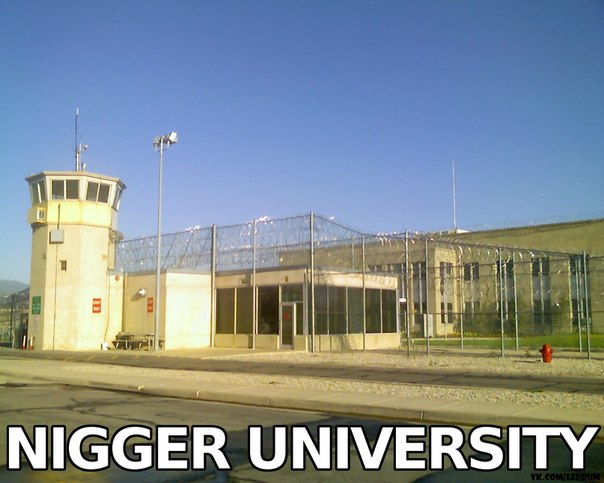 Name:  nigger university NU racism-university-896976.jpeg
Views: 134
Size:  55.6 KB