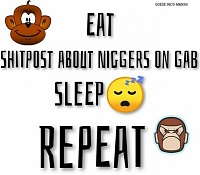 Click image for larger version. 

Name:	Shitpost About Niggers.jpg 
Views:	426 
Size:	30.9 KB 
ID:	19374