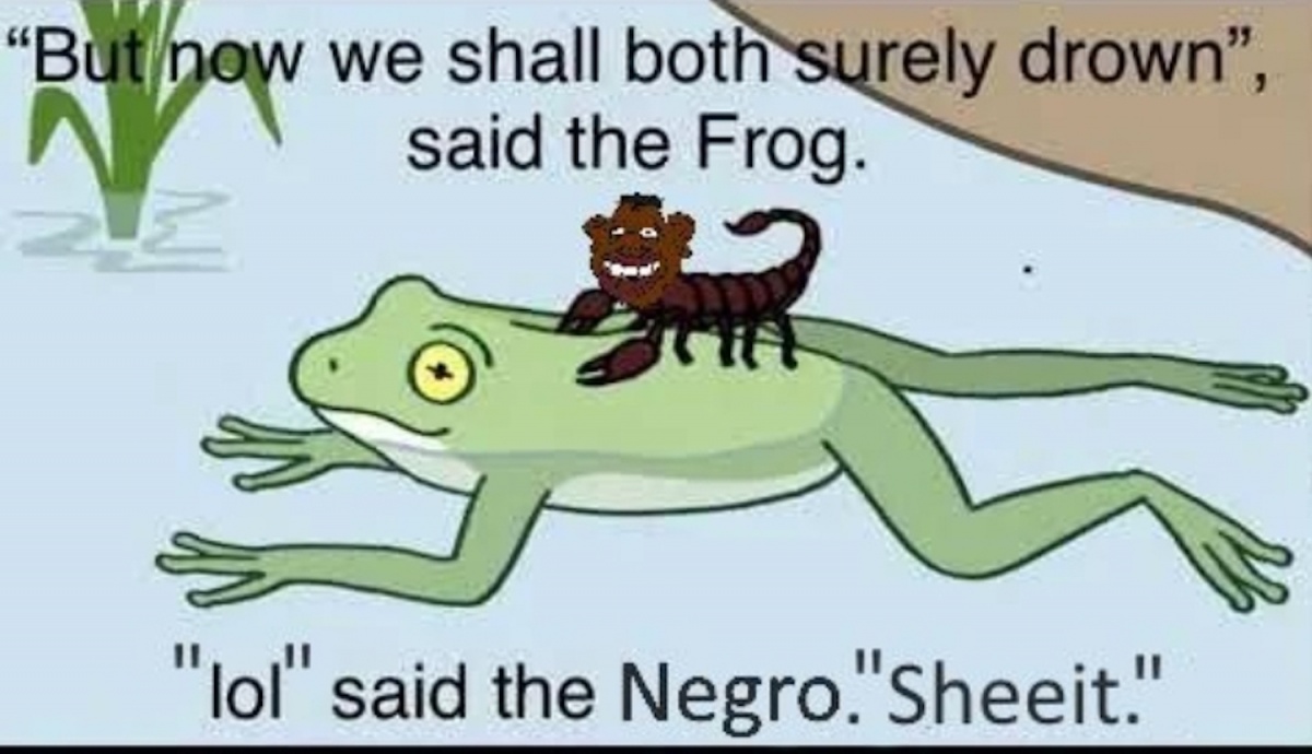 Click image for larger version. 

Name:	WE WILL DIE SAID THE FROG.jpg 
Views:	574 
Size:	170.2 KB 
ID:	19523