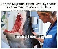 Click image for larger version. 

Name:	Bad News For Great White.jpeg 
Views:	38 
Size:	64.6 KB 
ID:	19583