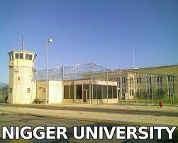 Name:  nigger university NU jail 4index.jpg
Views: 800
Size:  8.2 KB