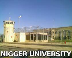 Name:  nigger university NU jail 4index.jpg
Views: 797
Size:  8.2 KB