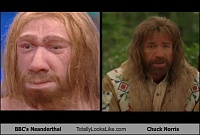 Click image for larger version. 

Name:	bbcs-neanderthal-totally-looks-like-chuck-norris.jpeg 
Views:	32 
Size:	23.0 KB 
ID:	20453