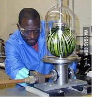 Click image for larger version. 

Name:	black scientist in the world working on turning watermelons into basketballs. - Funny.png 
Views:	47 
Size:	657.6 KB 
ID:	20566