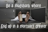 Click image for larger version. 

Name:	mudsharkmortuary2.jpg 
Views:	34 
Size:	225.4 KB 
ID:	20607