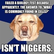 Name:  cells racist dog 1index.jpg
Views: 360
Size:  11.3 KB