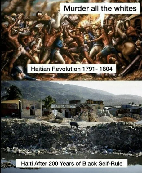 Name:  haiti-rebellion-e1644433104149.jpeg
Views: 387
Size:  77.9 KB