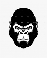 Click image for larger version. 

Name:	229-2292653_gorilla-head-silhouette-style-a-huge-zoo-animals.png 
Views:	33 
Size:	103.4 KB 
ID:	21311