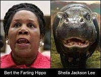 Click image for larger version. 

Name:	Sheila Jackson Lee Hippo.jpg 
Views:	30 
Size:	9.2 KB 
ID:	21767