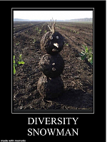 Click image for larger version. 

Name:	diversity snowman meme - Google Search.png 
Views:	64 
Size:	273.9 KB 
ID:	21869