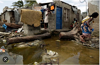 Click image for larger version. 

Name:	mozambique slums - Google Search.png 
Views:	41 
Size:	515.5 KB 
ID:	21926