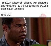Click image for larger version. 

Name:	Wisconsin Nervous Nggrz.jpg 
Views:	36 
Size:	209.4 KB 
ID:	21933