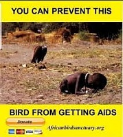 Click image for larger version. 

Name:	Vulture Gets AIDS.jpg 
Views:	30 
Size:	12.7 KB 
ID:	22834