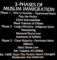Click image for larger version. 

Name:	3 phases of asslifter immigration.jpg 
Views:	44 
Size:	109.6 KB 
ID:	23576