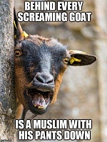 Click image for larger version. 

Name:	Behind every screaming goat.jpg 
Views:	28 
Size:	64.1 KB 
ID:	24371