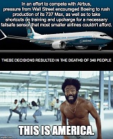 Click image for larger version. 

Name:	nigger boeing.jpg 
Views:	34 
Size:	96.0 KB 
ID:	24530