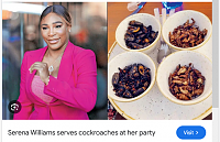 Click image for larger version. 

Name:	serena williams cockroaches - Google Search.png 
Views:	16 
Size:	393.4 KB 
ID:	24610