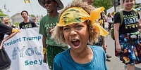 Click image for larger version. 

Name:	Yellowgorilla.jpg 
Views:	616 
Size:	75.9 KB 
ID:	24774