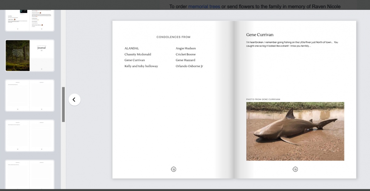 Name:  shark111.jpg
Views: 166
Size:  112.0 KB