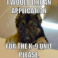 Click image for larger version. 

Name:	K9unit.png 
Views:	97 
Size:	88.3 KB 
ID:	4005