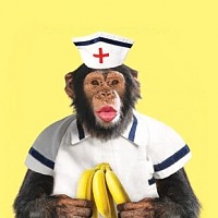 Click image for larger version. 

Name:	nurse-chimp-get-well-soon-card-3005874-0-1359413191000.jpg 
Views:	77 
Size:	21.2 KB 
ID:	4629