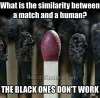 Click image for larger version. 

Name:	nigger-memes-300x296.jpg 
Views:	1966 
Size:	19.7 KB 
ID:	6256