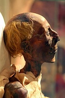 Click image for larger version. 

Name:	Ramesses_II_mummy_in_profile_(colored_picture).jpg 
Views:	78 
Size:	61.4 KB 
ID:	7173