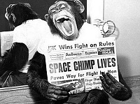 Click image for larger version. 

Name:	chimponaut.jpg 
Views:	68 
Size:	24.3 KB 
ID:	7624