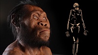 Click image for larger version. 

Name:	150910-homo-naledi-discovery-vin.jpg 
Views:	115 
Size:	266.6 KB 
ID:	769