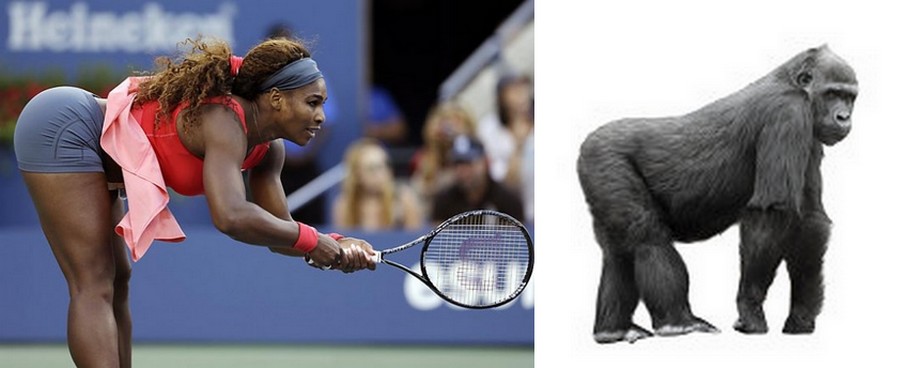 Name:  williams-serena.jpg
Views: 710
Size:  58.1 KB