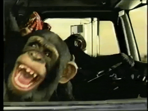 Click image for larger version. 

Name:	Monkeys.gif 
Views:	154 
Size:	1.65 MB 
ID:	24511