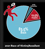 Click image for larger version. 

Name:	Chicago Crime, Murder Mayhem Criminal Infographics HeyJackass .png 
Views:	23 
Size:	27.1 KB 
ID:	21781