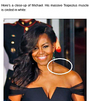 Click image for larger version. 

Name:	Michael Obamas Massive Trapezius Muscle2 - Paperblog.png 
Views:	29 
Size:	473.0 KB 
ID:	15610