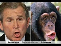 Click image for larger version. 

Name:	bush-chimp.jpg 
Views:	39 
Size:	17.6 KB 
ID:	20048