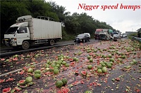 Click image for larger version. 

Name:	melons-truck-3.jpg 
Views:	113 
Size:	264.7 KB 
ID:	11483