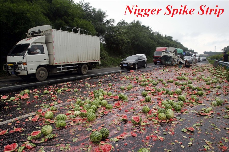 Name:  melons-truck-3.jpg
Views: 1706
Size:  265.8 KB